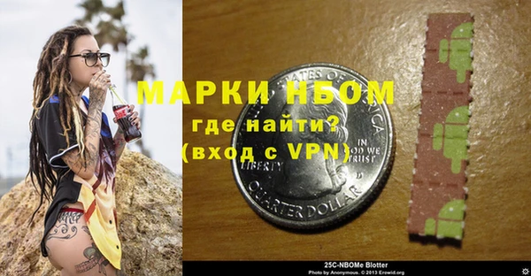 шишки Богородск