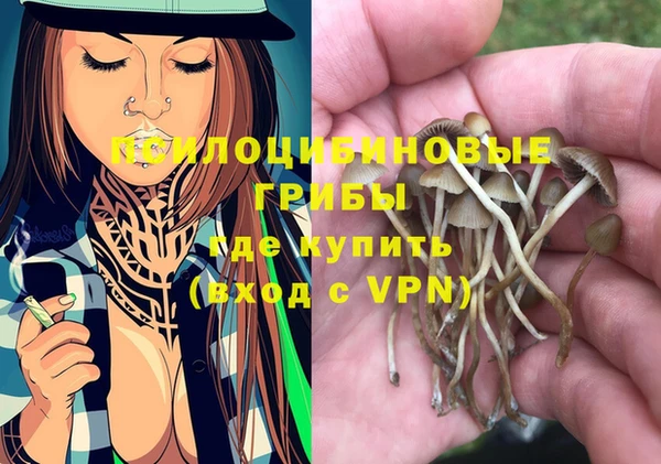 молекула духа Остров